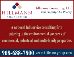 Hillmann Group
