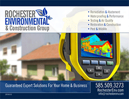 Expert Environmental & Construction Group