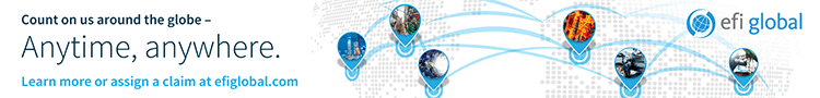 EFI Global