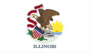 illinois stats claims insurance losses payments incurred measured casualty direct property company were